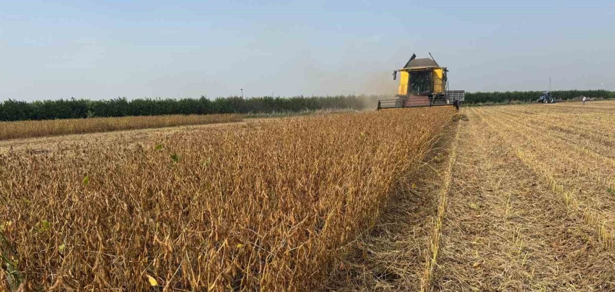 Adana’da 2026 soya biçerdöver ücretleri dekar başına 350 ve 370 TL