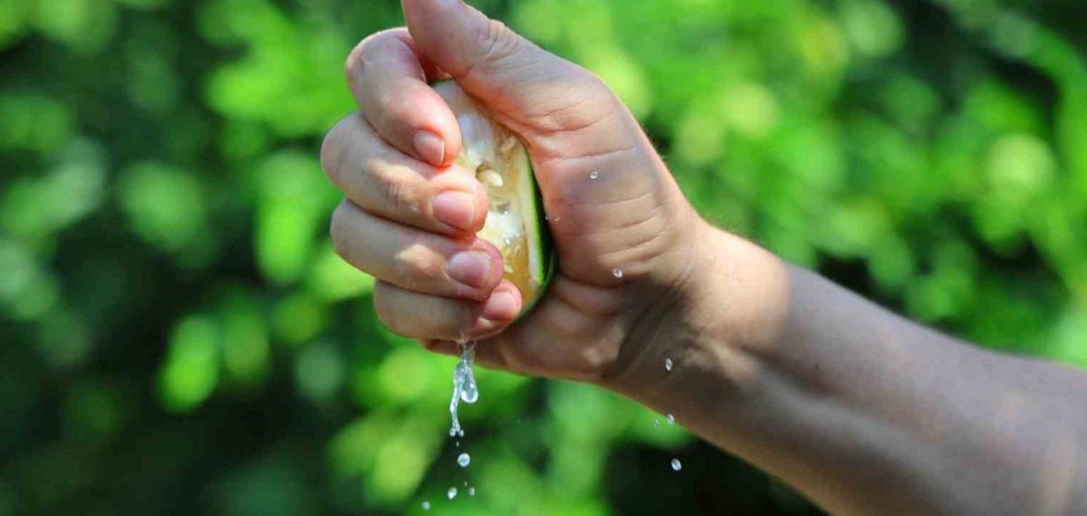 Adana’da limon ve mandalina fiyatları düşerken nakliye maliyetleri ihracatı engelliyor