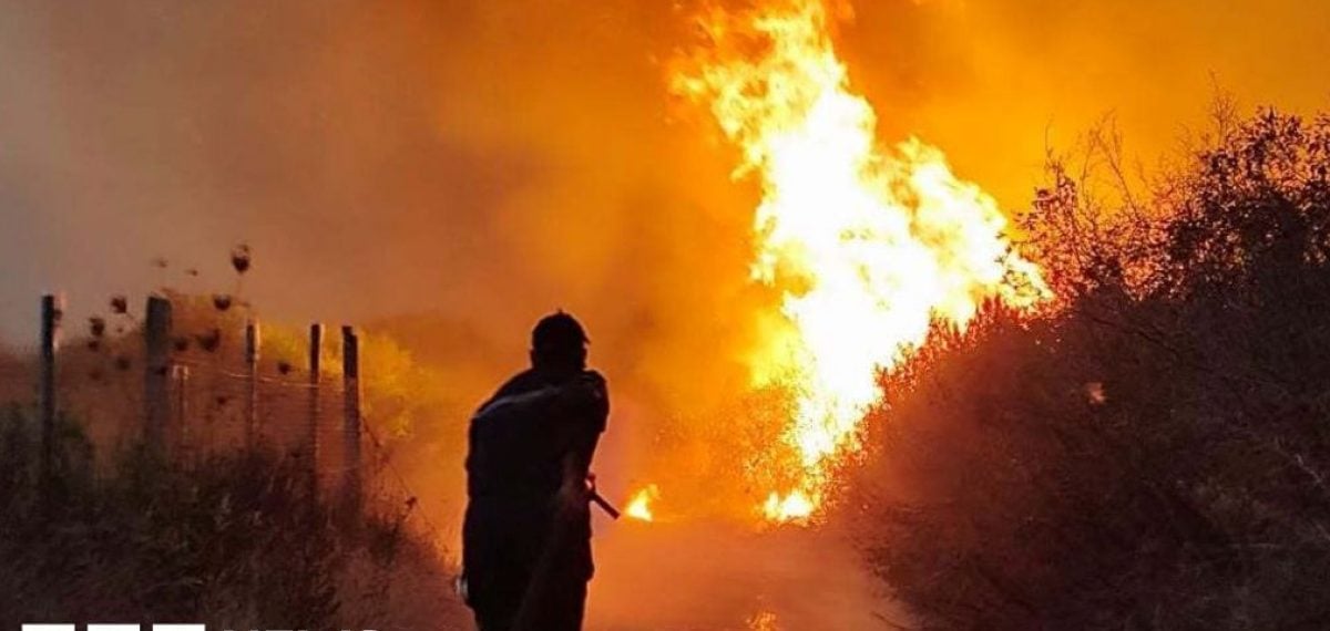 Algeria introduces death penalty for arsonists after deadly wildfires