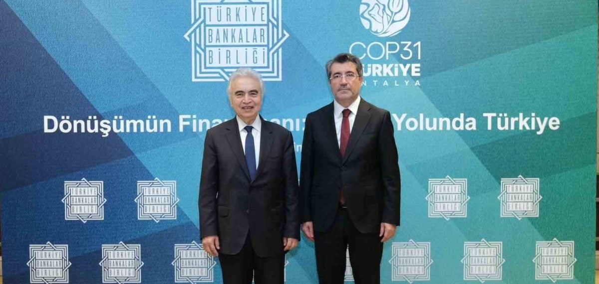 Bankacılık enerji kredileri 1 trilyon TL’yi aştı, yenilenebilir payı yüzde 53