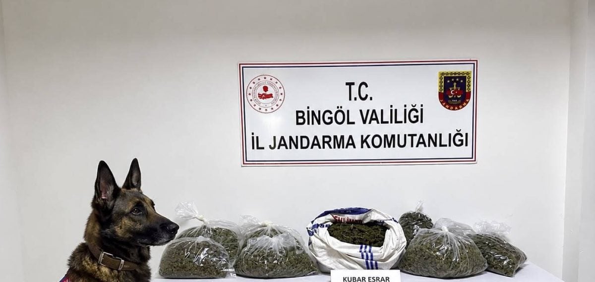 Bingöl İl Jandarma’sından geniş operasyon 31 şüpheliye adli işlem