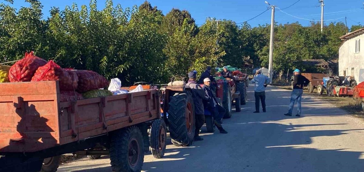 Büyükbelen köyünde çuvallarla toplanan cevizler her akşam yola çıkıyor
