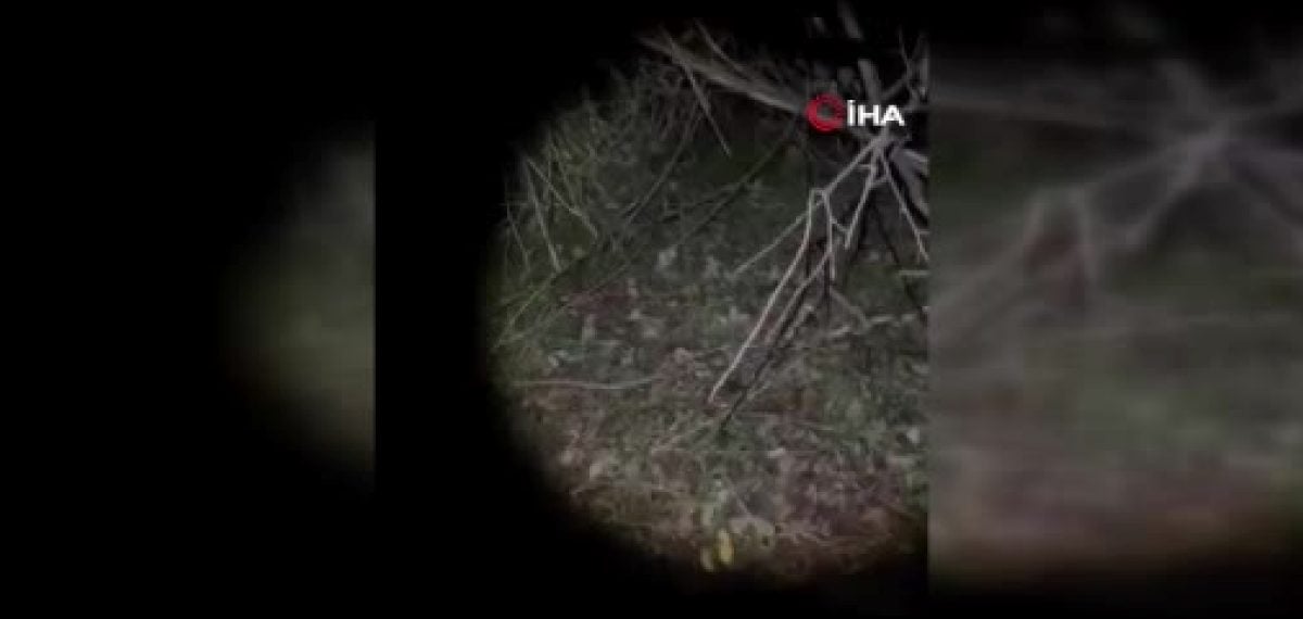Çatalca ormanında kaybolan iki kişiye sabaha karşı ulaşılabildi