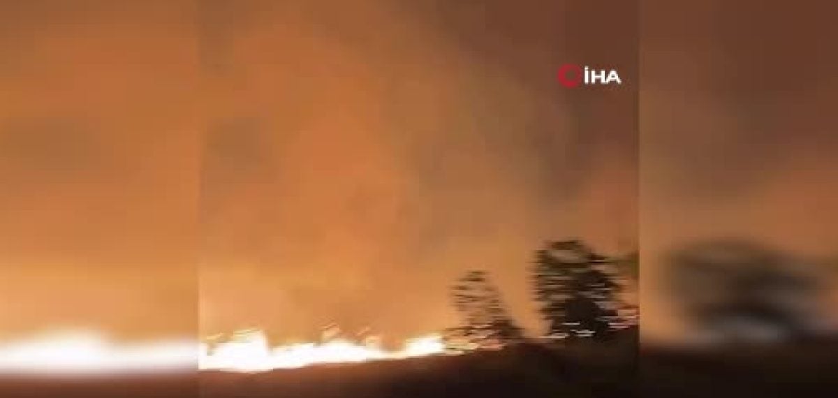Cava Adası yangınlarında müdahalecilerin yaşamını yitirmesi bölgeyi alarma geçirdi
