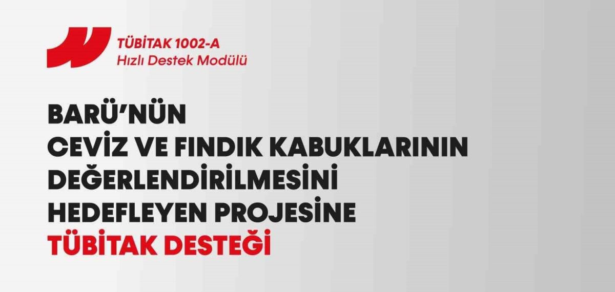 Ceviz ve fındık kabuklarında DES ile delignifikasyonda partikül boyutunun etkisi
