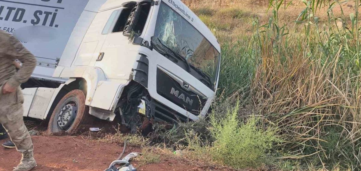 Cilvegözü sınır kapısında kontrolden çıkan tır zeytin bahçesine devrildi