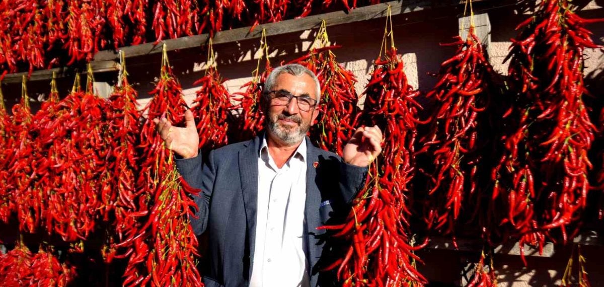 Çukurören biberinin balkonlarda kurutularak yaygınlaşan üretimi ve talep artışı
