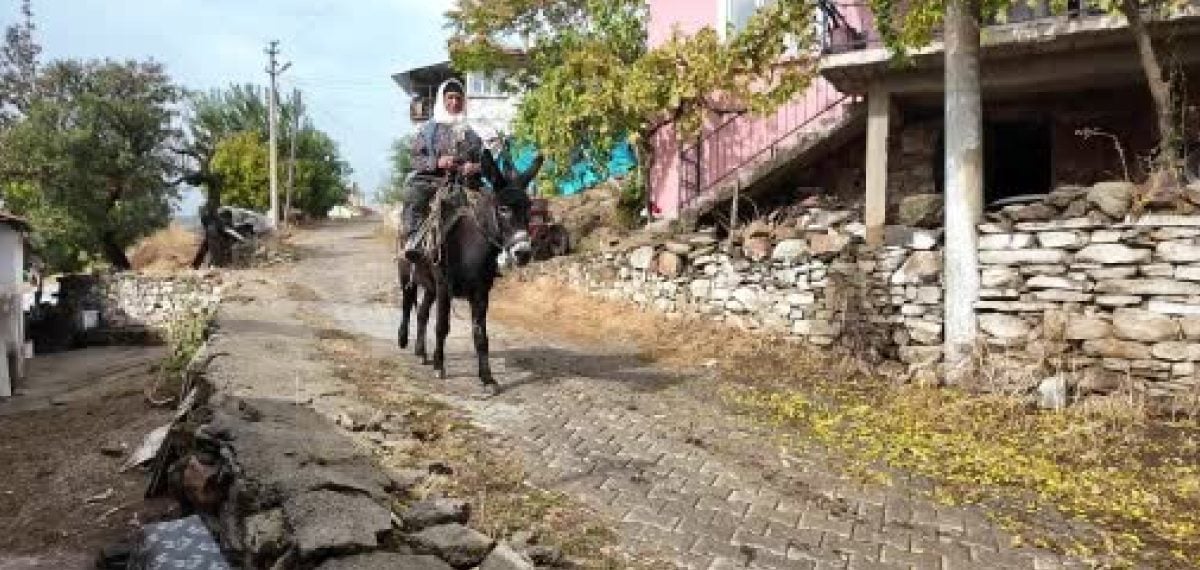 Demirci’de kadınlar dağlardan topladıkları çitlembikle aile bütçesine katkı sağlıyor