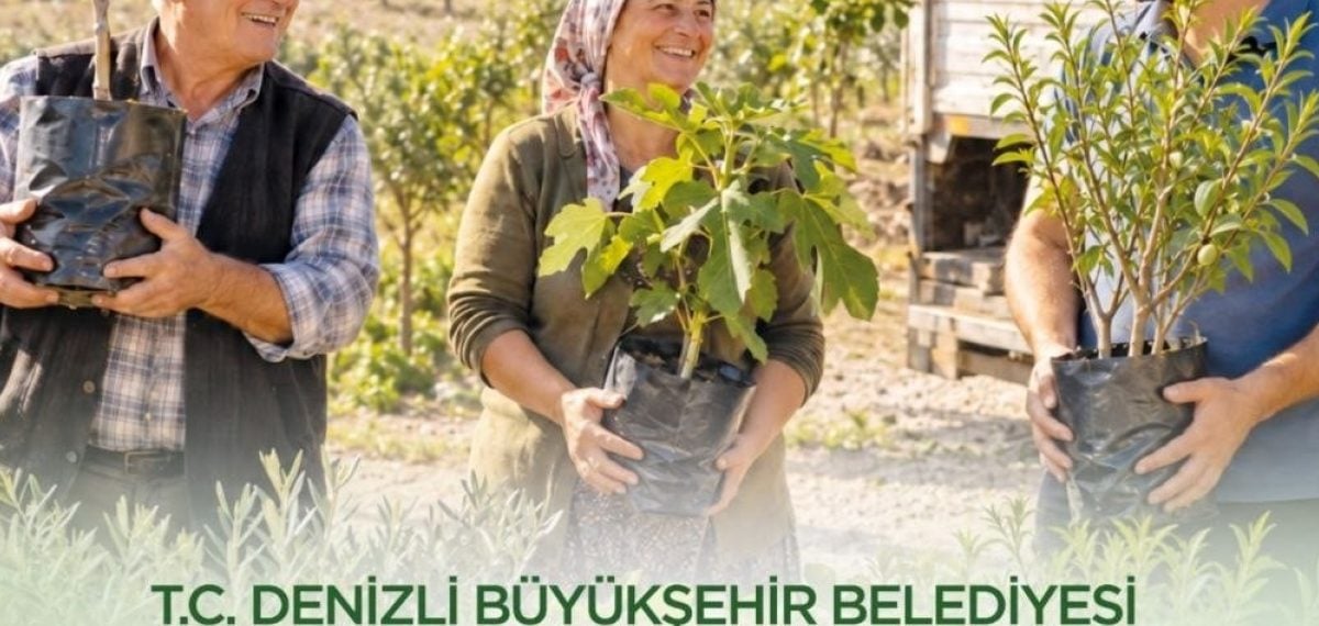 Denizli Büyükşehir’den zeytin, incir ve badem fidanı desteği başvuruları başladı