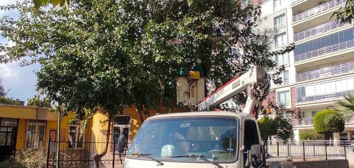 Efeler Belediyesi mahallelerde kapsamlı park ve ağaç bakım çalışması yürüttü