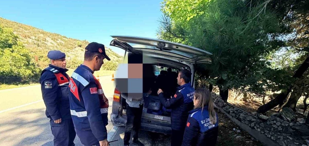 Eğirdir yol kontrolünde 50 kilogram gümüşi havuz balığına el konuldu