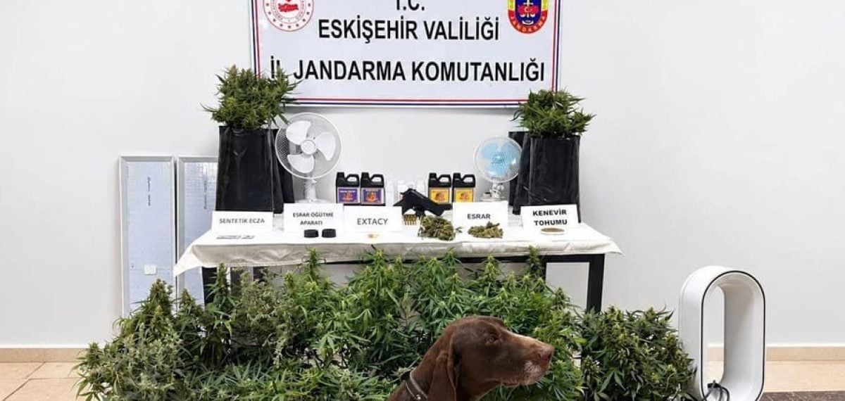 Eskişehir’de jandarma operasyonunda çok sayıda uyuşturucu ve silah ele geçirildi