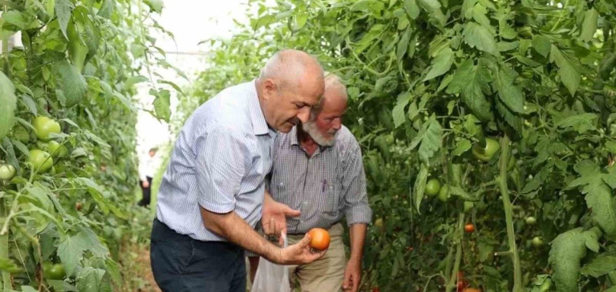 Gebze Belediyesi kırsal üretime fide mazot ve pazar desteğiyle katkı sağlıyor