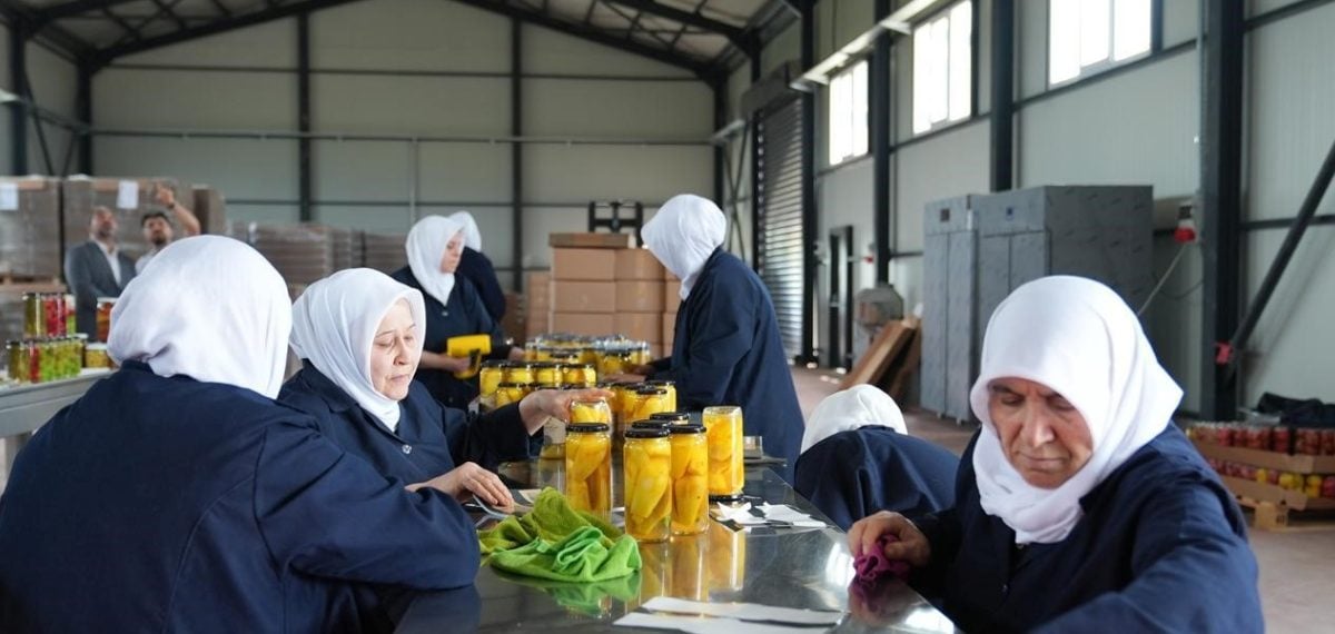 Gürsu’da kadın emeğiyle katkısız ve düşük tuzlu turşu seri üretime geçti