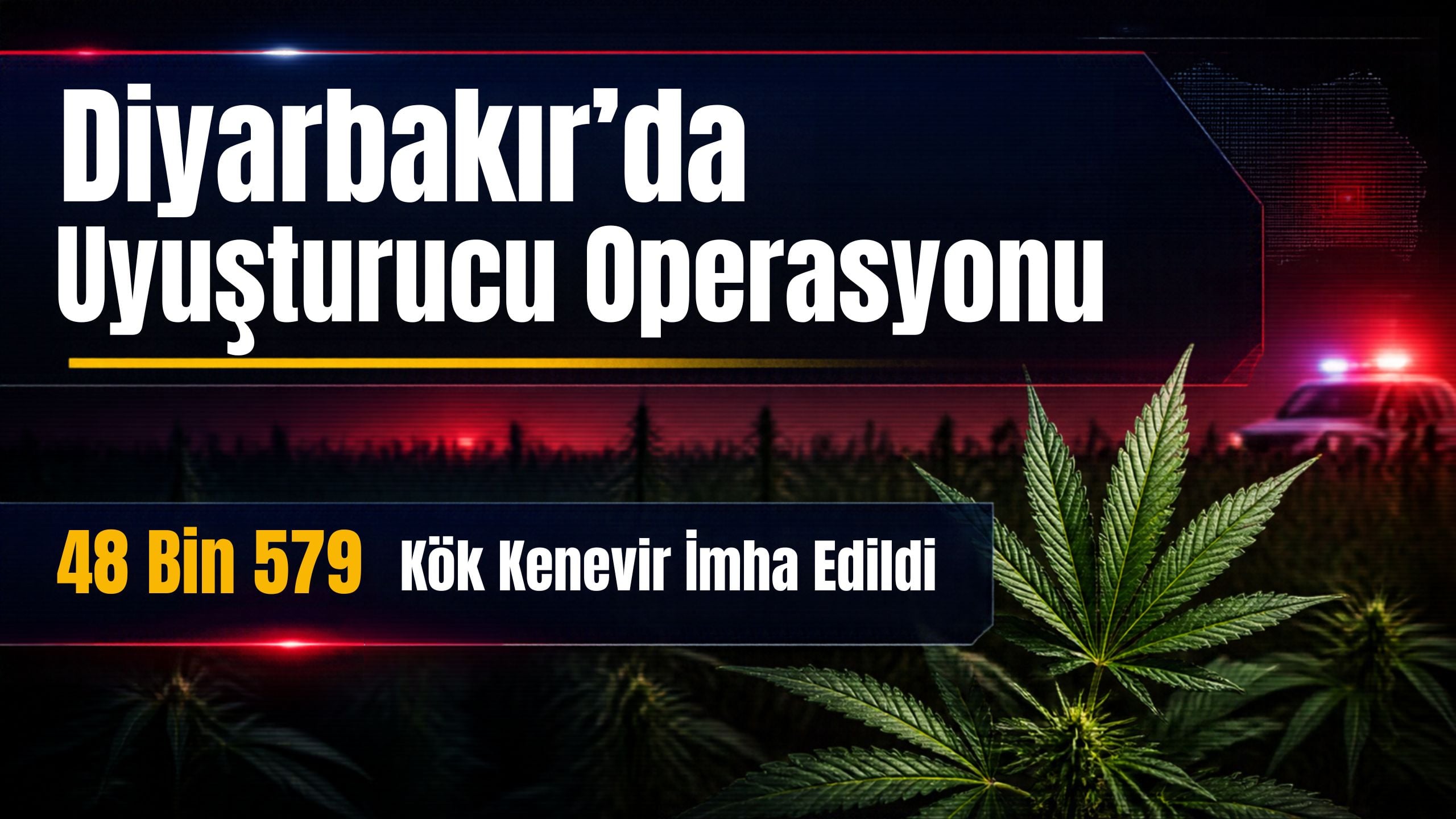 Diyarbakır’da 48 Bin 579 Kök Kenevir İmha Edildi