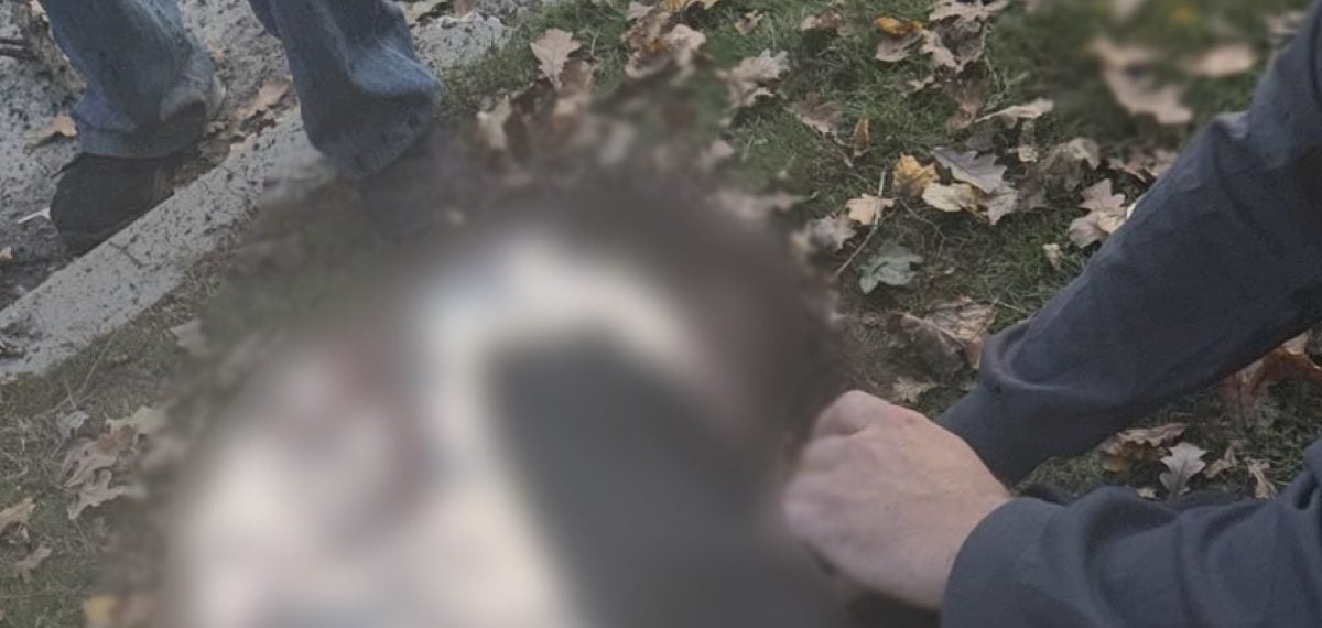 Harkov’da parkta İHA saldırısı 3’ü çocuk 6 kişi yaşamını yitirdi
