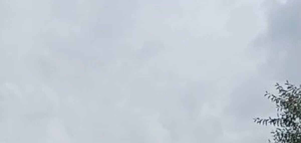 İki çocuğun kendi imkânlarıyla çektiği Türk bayrağını sevgiyle öpmeleri