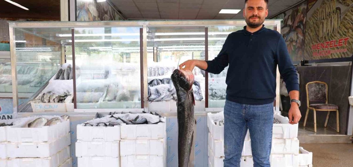 Kahramanmaraş’ta balık sezonu başladı, üretim ve ihracat hareketlendi