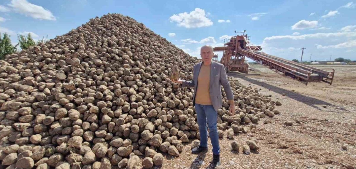 Karaman’da pancar alım kampanyası başladı üreticiler alım fiyatını bekliyor
