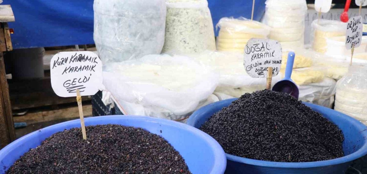 Karamuk meyvesi tezgâhta çıktı fiyatı 70-100 TL arasında