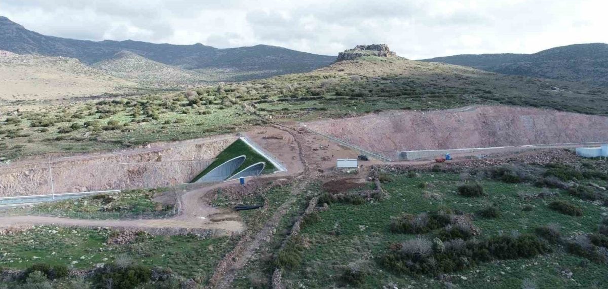 Karayolu ve demiryolunda 21 ekolojik köprü tamamlandı, 19 yeni planlanıyor