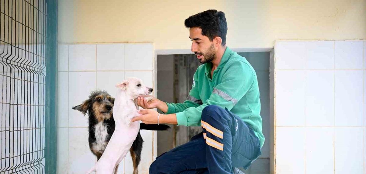 Kaşlı Bakımevi’nde tedavi edilen Çiko ve Karabiber sahiplendirmeye hazırlanıyor
