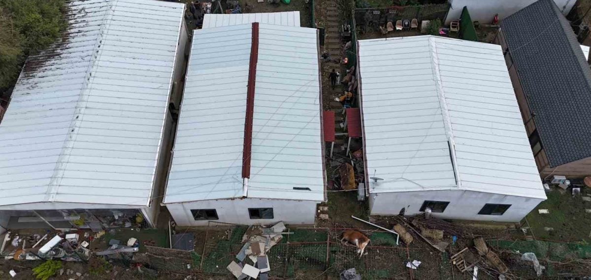 Kemerburgaz’da sağanak sel evleri bastı, çok sayıda hayvan telef oldu