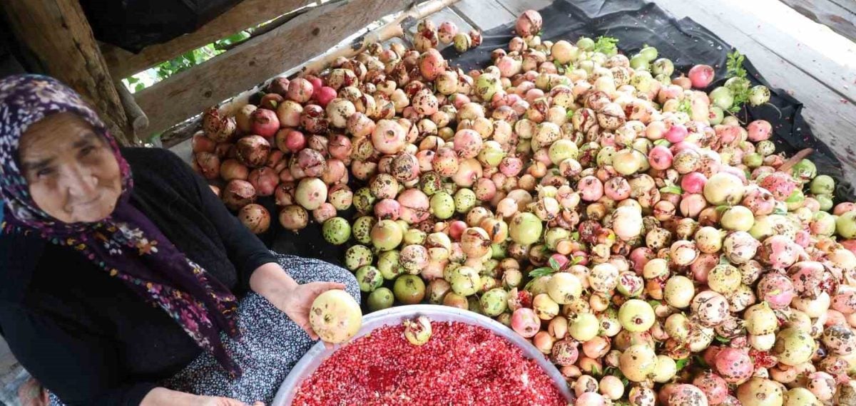 Kozanlı aile 1,5 ton narı elle işleyip 60 kilo nar ekşisi elde etti