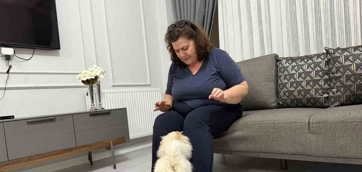 Küçük kızın istediği köpek yerine farklı cins gelince aile mağdur oldu