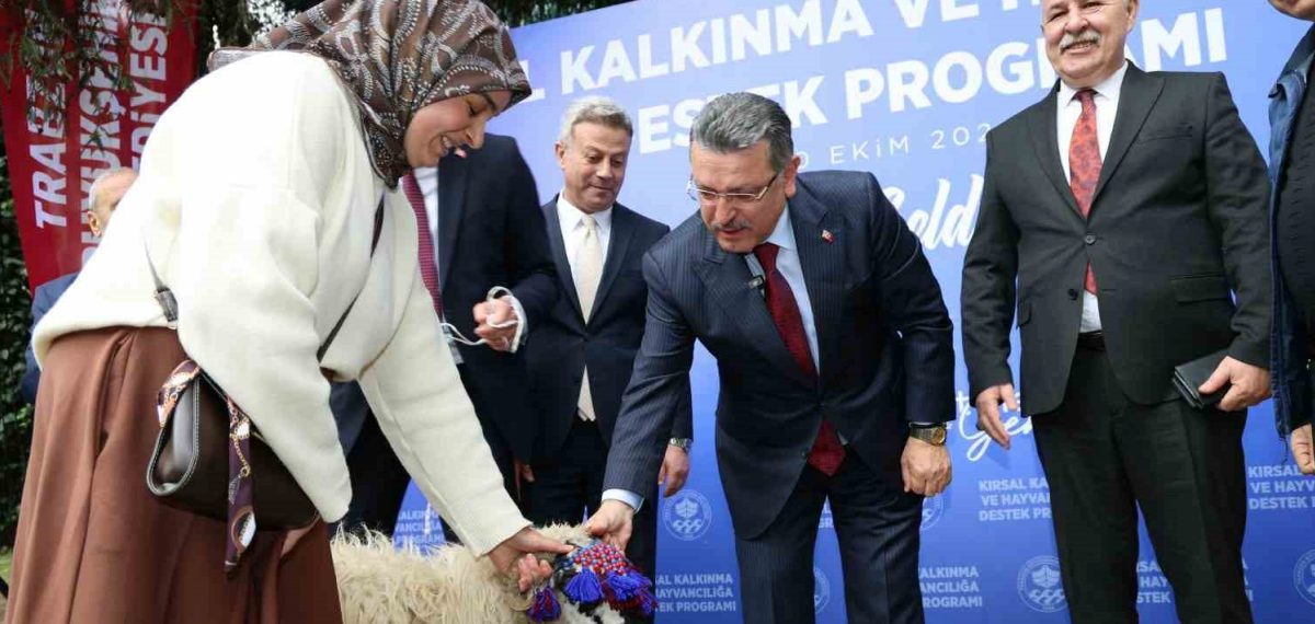 Maçka’da 36 üreticiye yüzde 90 hibe ile 180 Karayaka koyunu dağıtıldı