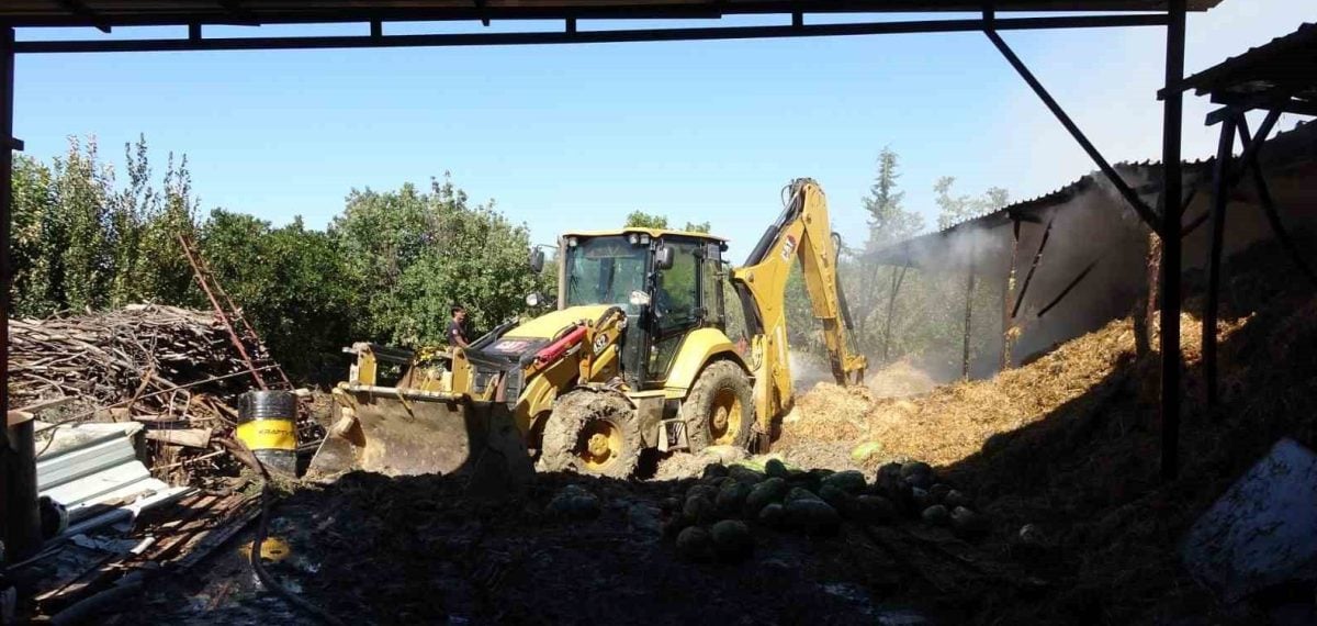 Manavgat’ta ahır yangını: 1 inek ve 4 keçi telef oldu, saman yandı