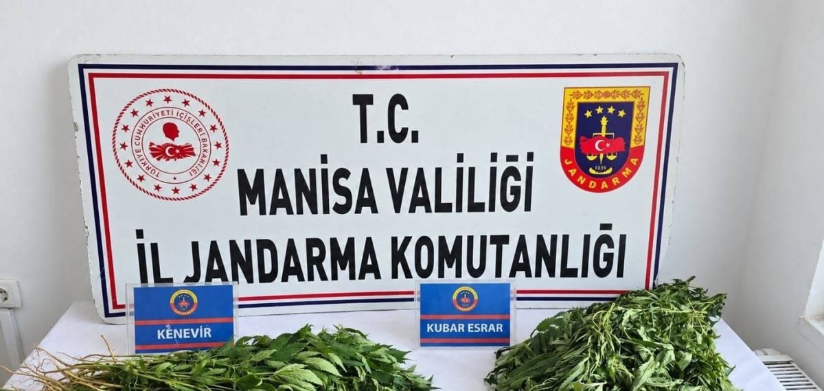 Manisa’da 4 ilçede düzenlenen operasyonlarda çok sayıda uyuşturucu ele geçirildi