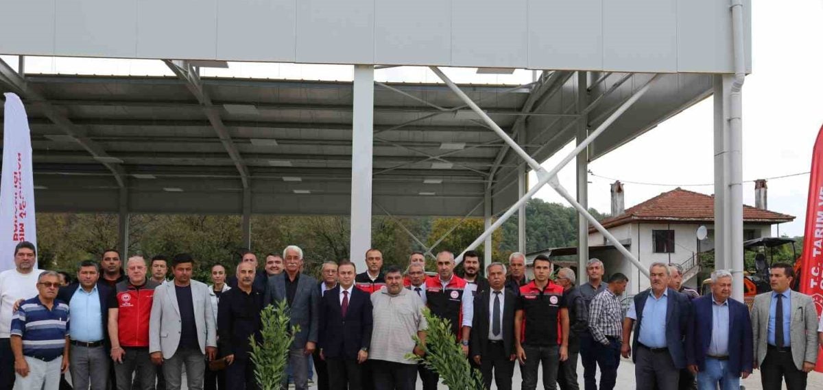 Muğla’da defne fidanı dağıtımı ve üretici destekleri ön plana çıktı