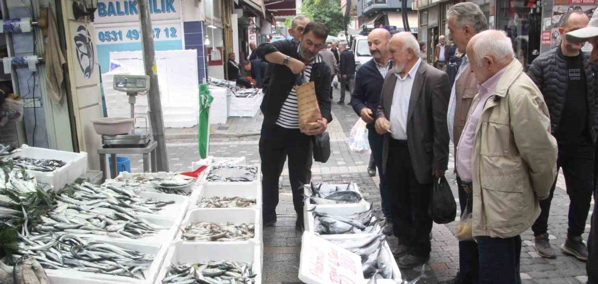 Palamut bolluğu tezgâhlarda fiyatları yarı yarıya düşürdü