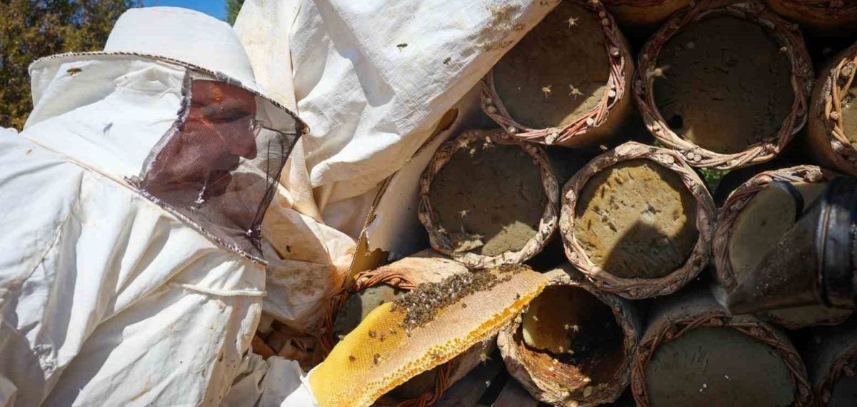 Pütürge’de ata mirası toprak kovanlarla gerçek bal üretimi sürüyor