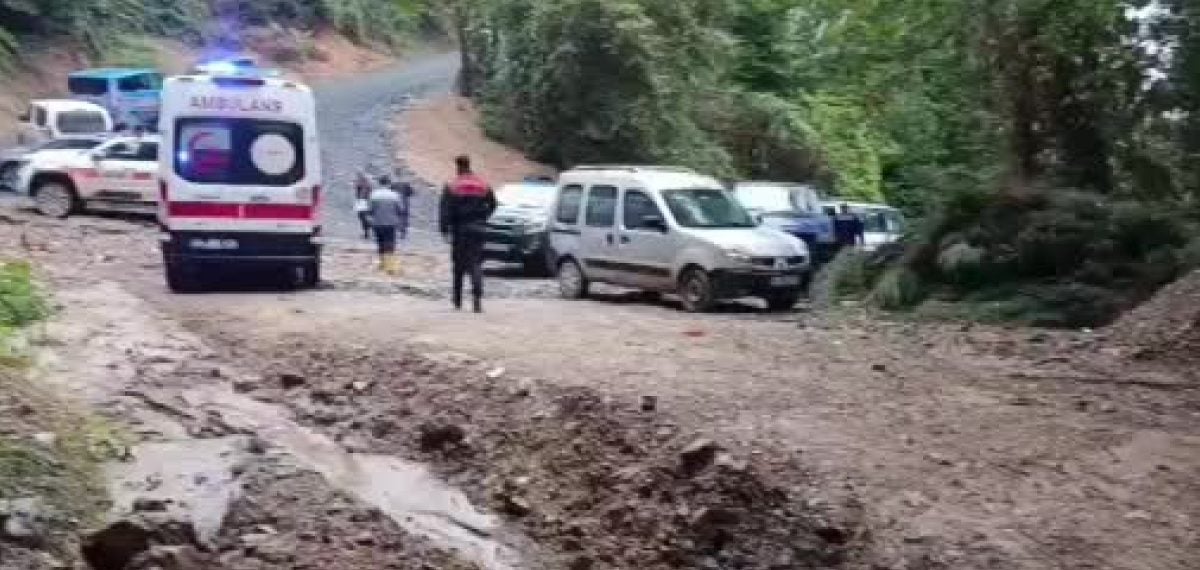 Sapanca’da kestane toplarken kaybolan 66 yaşındaki adam ölü bulundu
