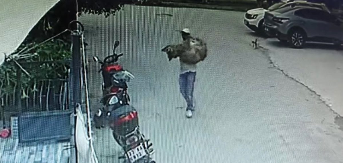 Silifke’de aracın ezdiği köpek tedaviye alındı bir hafta sonra öldü