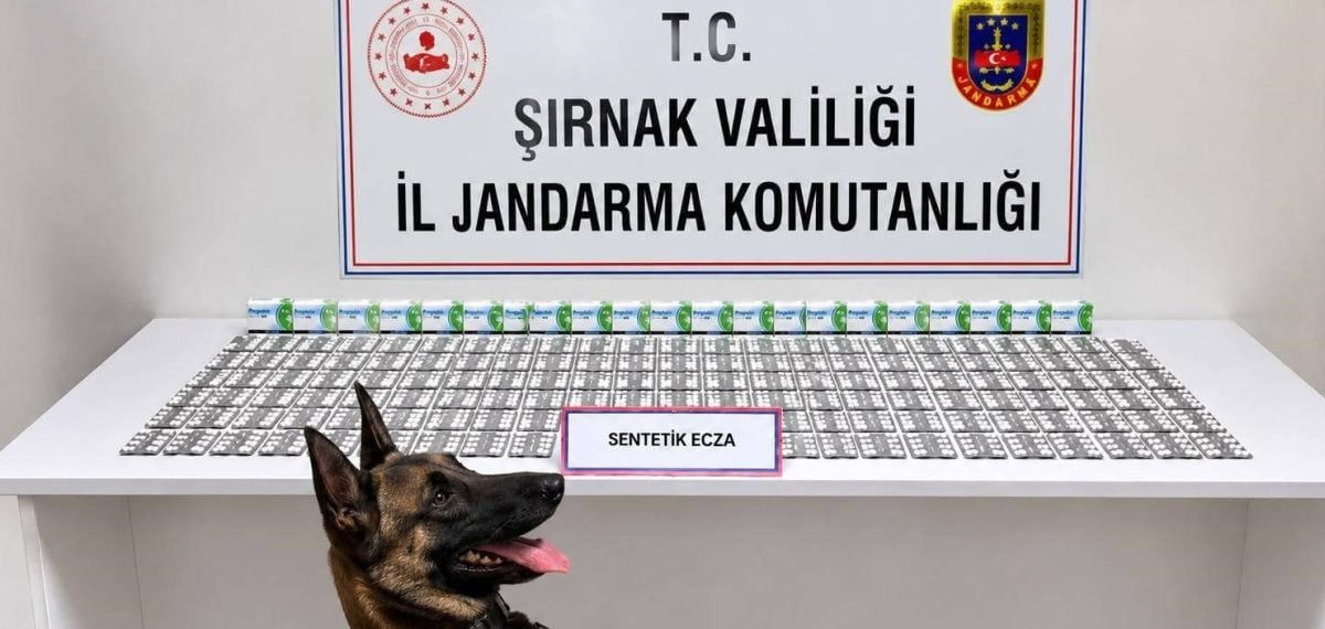 Şırnak’ta bir haftada 49 aranan şahıs yakalandı 12 kişi tutuklandı