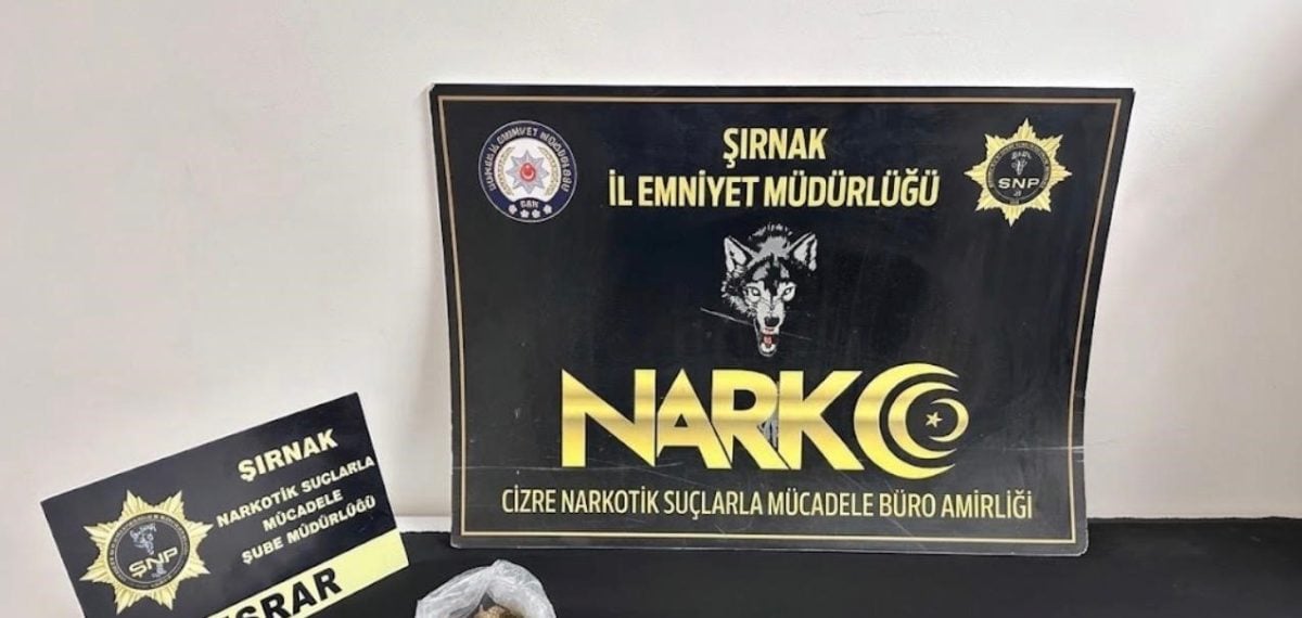 Şırnak’ta operasyonlarda 17 tutuklama 57 aranan şüpheli yakalandı