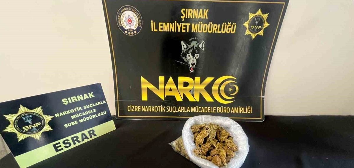 Şırnak’ta operasyonlarda çok sayıda uyuşturucu ve 9 tutuklama
