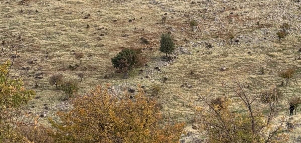 Şirvan’da kaybolan genç sabah bulundu silahla vurulmuş halde öldü