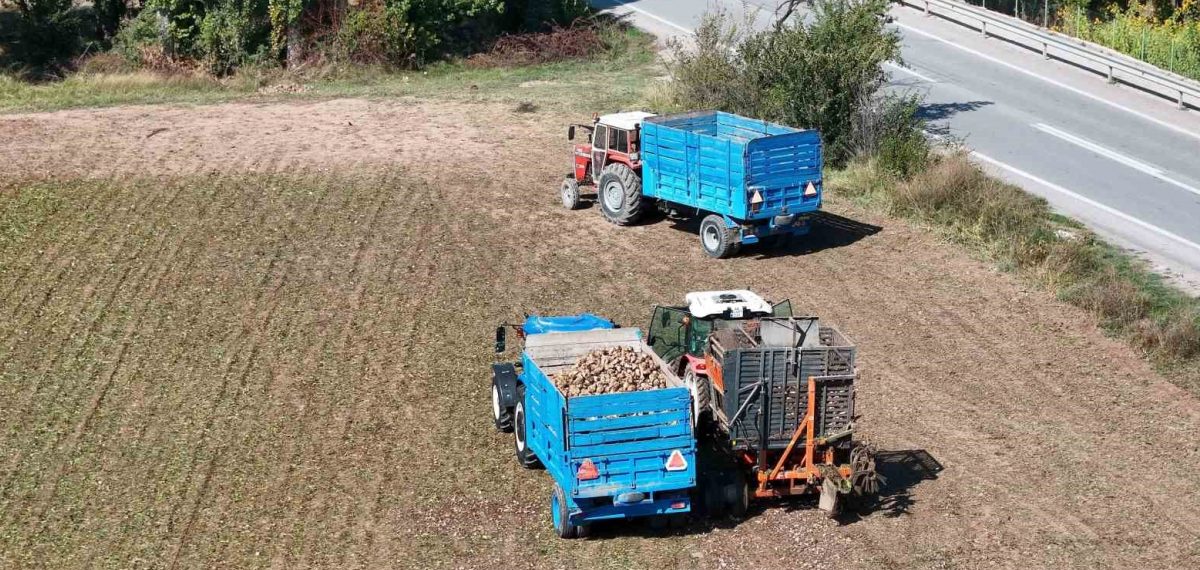 TÜRKŞEKER 2026 pancar alım fiyatını ton başına 3.720 liradan açıkladı