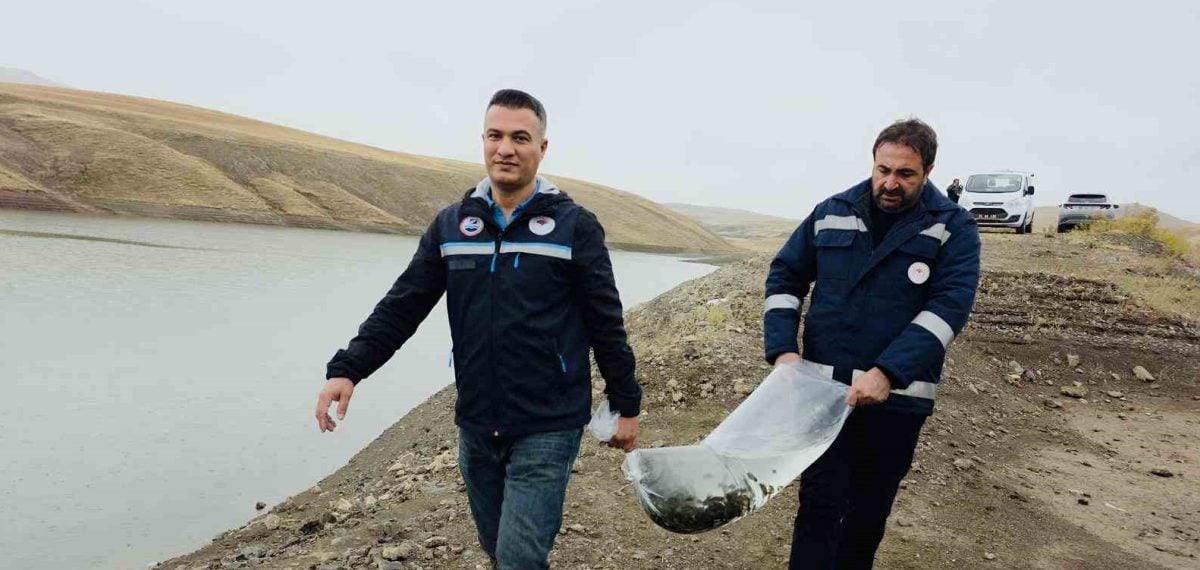 Van’da su ürünleri sektörü yıllık 2 bin 500 ton üretim ve 25 milyon dolar katkı