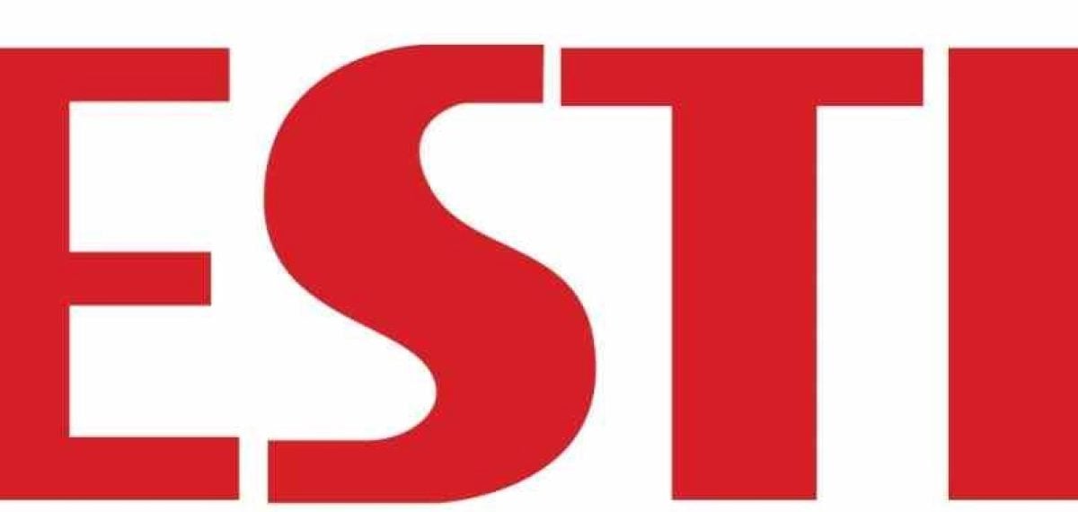Vestel bankalarla 2041 vadeli yeniden yapılandırma için görüşmeleri sürdürüyor
