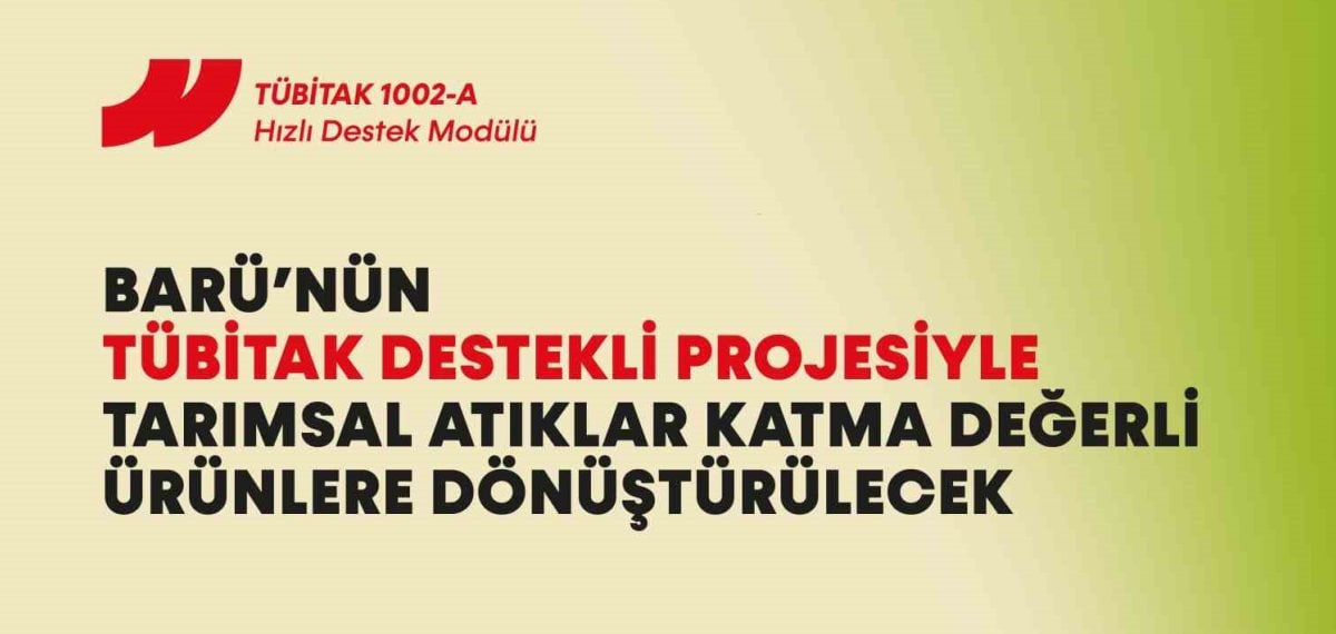 Zeytin ve fındık budama atıkları kâğıt hamuru ve lignin üretiminde değerlendirilecek